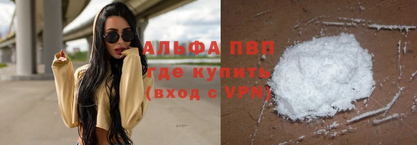 прущие грибы Покровск