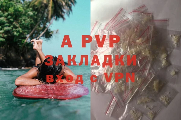 прущие грибы Покровск