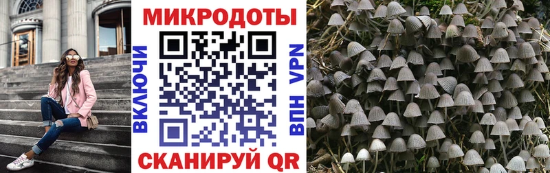 хочу наркоту  Абаза  нарко площадка телеграм  Галлюциногенные грибы Cubensis 
